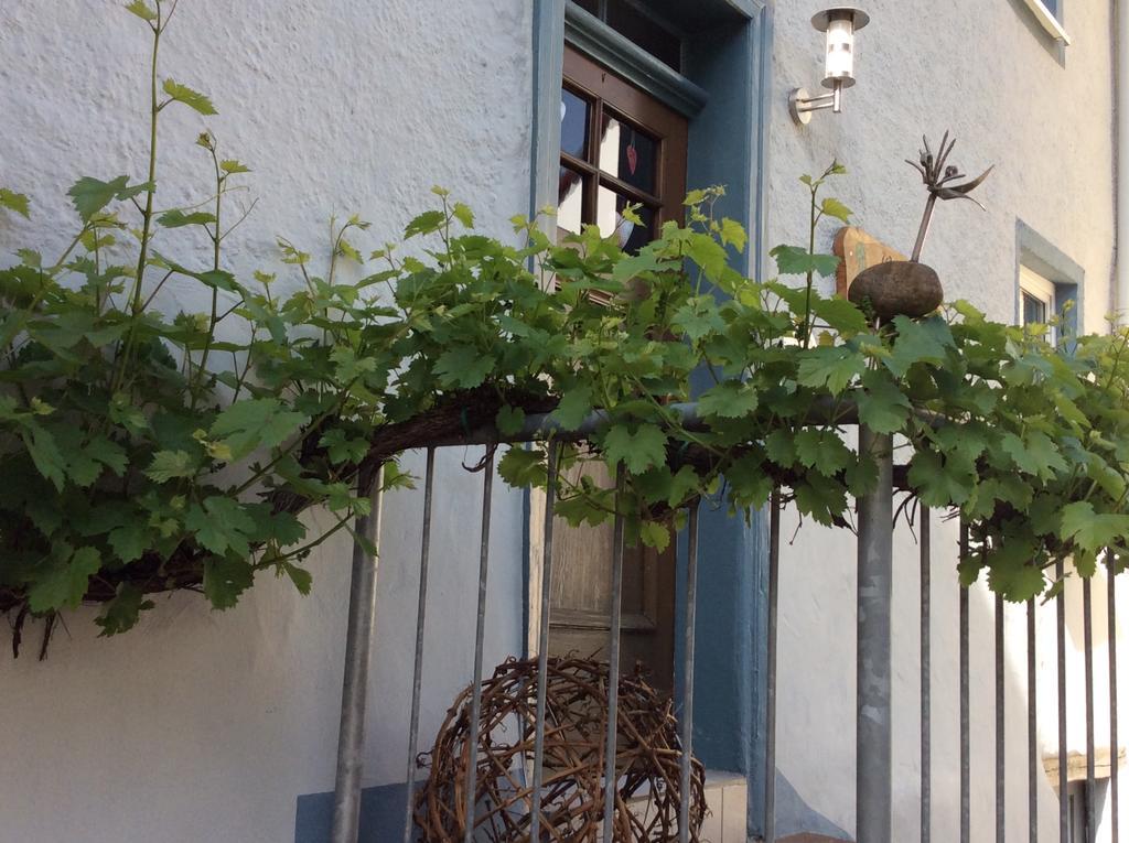 Winzerhaeuschen, Weingut Th. Mueller Daire Reil Dış mekan fotoğraf